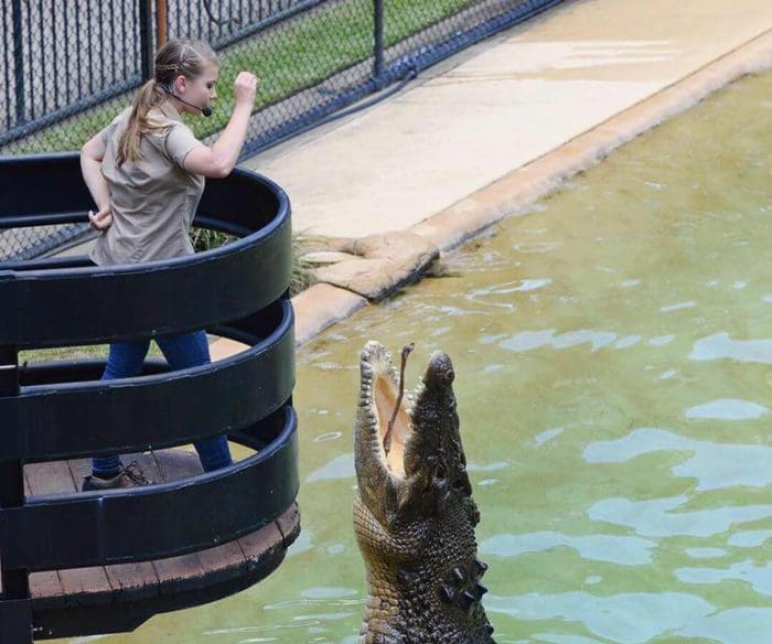 Australia Zoo Shows