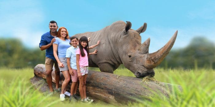 Australia Zoo
