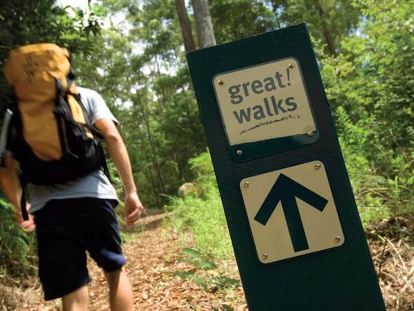 Sunshine Coast Hinterland Great Walk