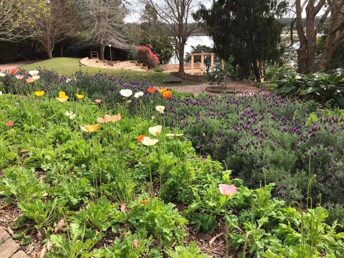 Noosa Botanic Garden