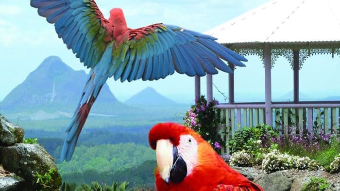 Maleny Botanic Gardens