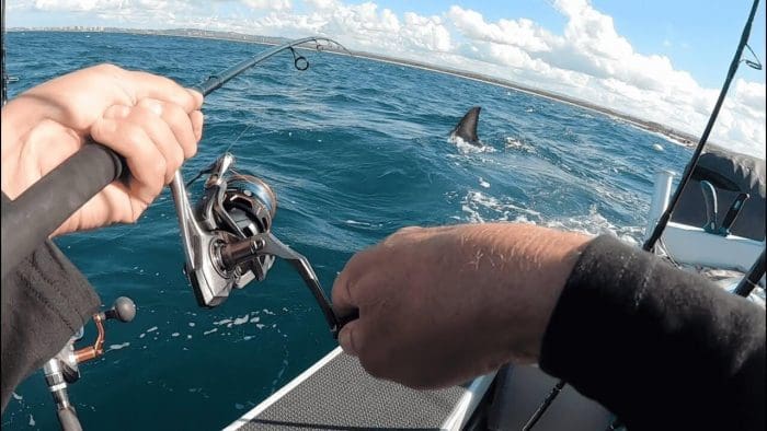 Mooloolaba Fishing