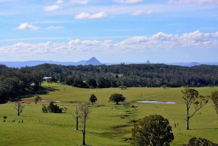 Mount Mee