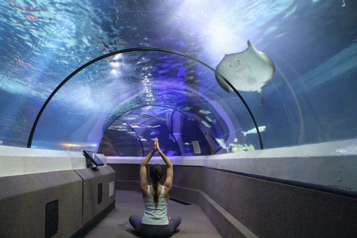 Sea Life Best Time