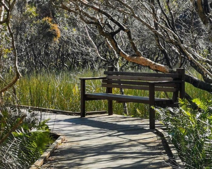 Noosa National Park - Peregian Section