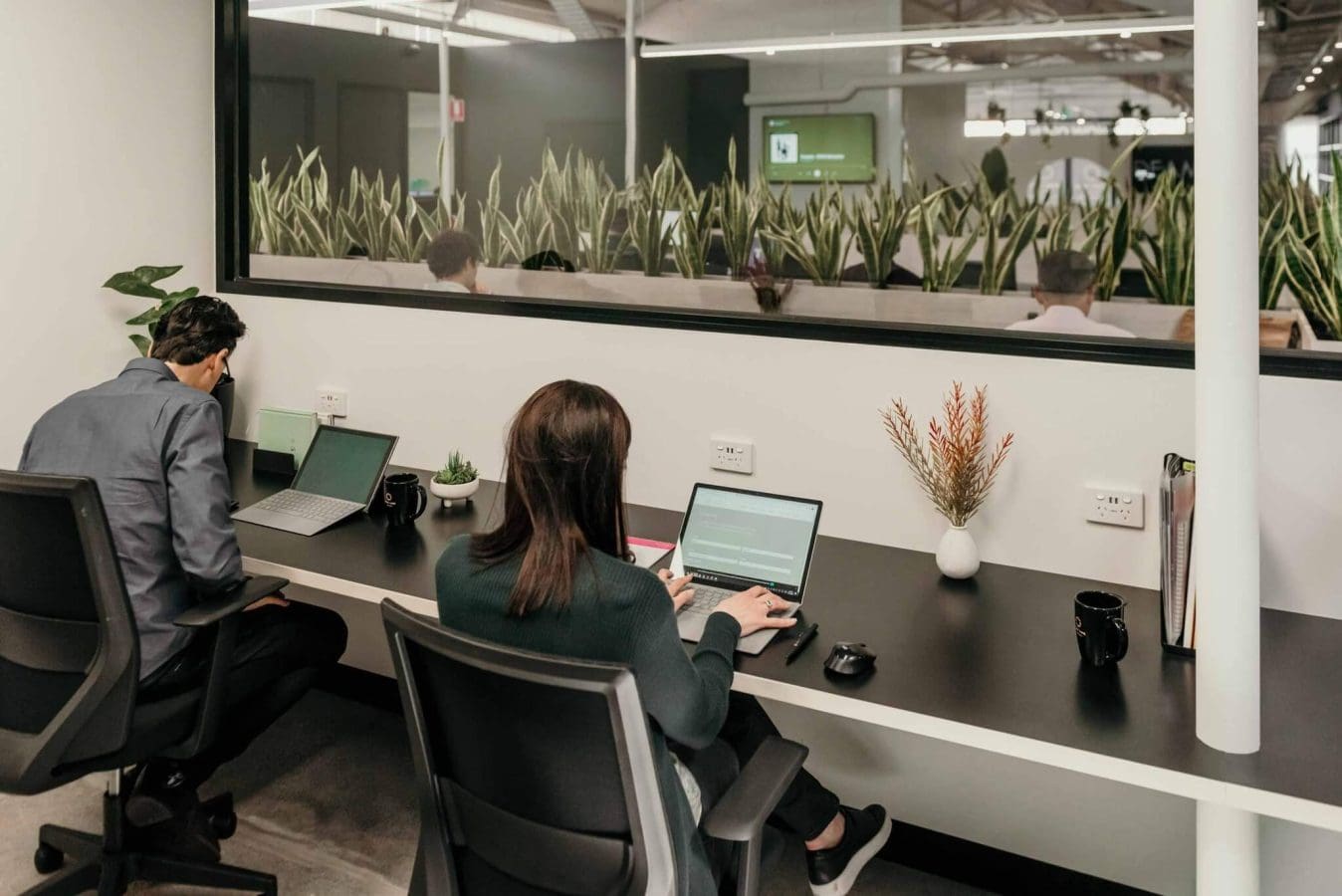Co-working space Sunshine Coast