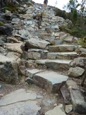 mt coolum walking track